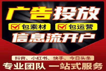 顶级SEM运营公司案例分析